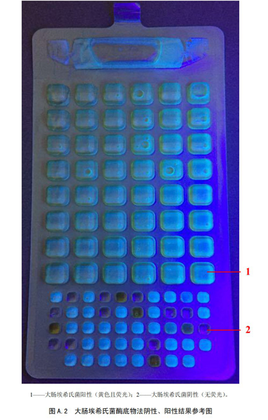 大腸埃希氏菌酶底物法陰性、陽性結果參考圖